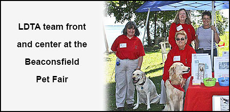 Lakeshore dog sale training